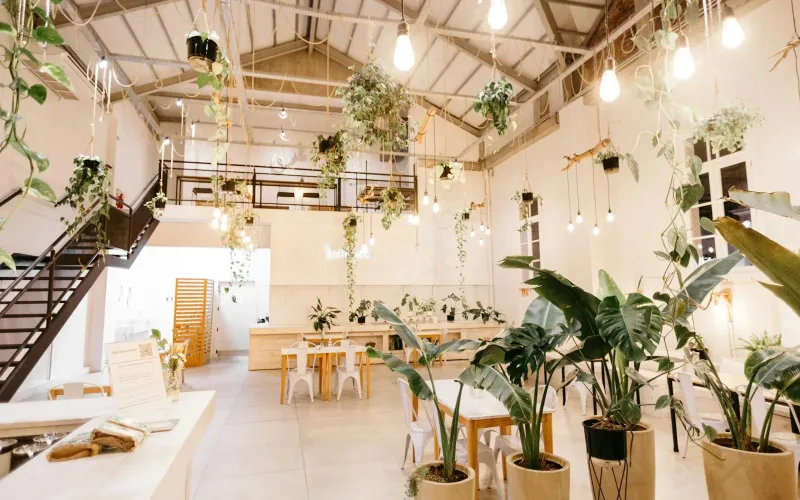 Bright café interior with modern design and lush plants creates a cozy atmosphere.